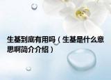 生基到底有用嗎（生基是什么意思啊簡介介紹）