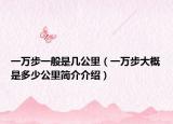 一萬步一般是幾公里（一萬步大概是多少公里簡介介紹）