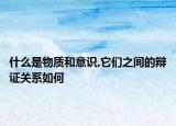 什么是物質(zhì)和意識,它們之間的辯證關系如何