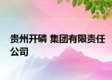 貴州開磷 集團有限責(zé)任公司