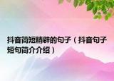 抖音簡(jiǎn)短精辟的句子（抖音句子短句簡(jiǎn)介介紹）