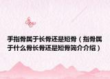 手指骨屬于長(zhǎng)骨還是短骨（指骨屬于什么骨長(zhǎng)骨還是短骨簡(jiǎn)介介紹）