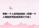 夸贊一個(gè)人優(yōu)秀的詞語（稱贊一個(gè)人特別優(yōu)秀的成語簡介介紹）