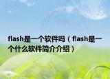 flash是一個(gè)軟件嗎（flash是一個(gè)什么軟件簡(jiǎn)介介紹）
