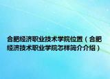 合肥經(jīng)濟職業(yè)技術(shù)學(xué)院位置（合肥經(jīng)濟技術(shù)職業(yè)學(xué)院怎樣簡介介紹）