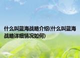 什么叫藍海戰(zhàn)略介紹(什么叫藍海戰(zhàn)略詳細情況如何)