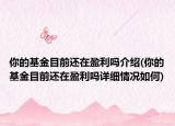 你的基金目前還在盈利嗎介紹(你的基金目前還在盈利嗎詳細情況如何)