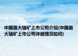 中國最大鈾礦上市公司介紹(中國最大鈾礦上市公司詳細(xì)情況如何)