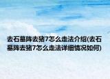 去石墓陣去豬7怎么走法介紹(去石墓陣去豬7怎么走法詳細(xì)情況如何)