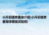 小升初信息查詢介紹(小升初信息查詢詳細(xì)情況如何)