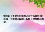 像我叫王土地的電視劇還有什么介紹(像我叫王土地的電視劇還有什么詳細情況如何)