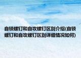自鎖螺釘和自攻螺釘區(qū)別介紹(自鎖螺釘和自攻螺釘區(qū)別詳細情況如何)