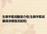 生僻字歌詞翻譯介紹(生僻字歌詞翻譯詳細(xì)情況如何)