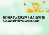 澳門碼頭怎么去威尼斯水城介紹(澳門碼頭怎么去威尼斯水城詳細情況如何)
