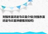 劉強東富還是馬云富介紹(劉強東富還是馬云富詳細情況如何)
