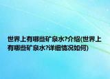 世界上有哪些礦泉水?介紹(世界上有哪些礦泉水?詳細情況如何)