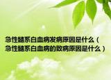 急性髓系白血病發(fā)病原因是什么（急性髓系白血病的致病原因是什么）