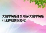 大腦學院是什么介紹(大腦學院是什么詳細情況如何)