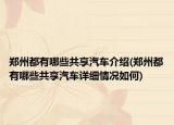 鄭州都有哪些共享汽車介紹(鄭州都有哪些共享汽車詳細情況如何)