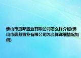 佛山市嘉邦置業(yè)有限公司怎么樣介紹(佛山市嘉邦置業(yè)有限公司怎么樣詳細(xì)情況如何)