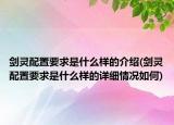 劍靈配置要求是什么樣的介紹(劍靈配置要求是什么樣的詳細(xì)情況如何)