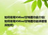 如何使用XMind甘特圖功能介紹(如何使用XMind甘特圖功能詳細(xì)情況如何)