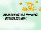 痛風(fēng)能徹底治好嗎去用什么藥好（痛風(fēng)能徹底治好嗎）
