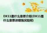 DX11是什么意思介紹(DX11是什么意思詳細情況如何)
