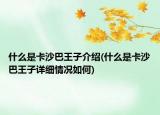 什么是卡沙巴王子介紹(什么是卡沙巴王子詳細情況如何)