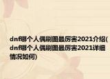 dnf哪個人偶刷圖最厲害2021介紹(dnf哪個人偶刷圖最厲害2021詳細情況如何)