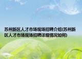 蘇州新區(qū)人才市場現(xiàn)場招聘介紹(蘇州新區(qū)人才市場現(xiàn)場招聘詳細情況如何)