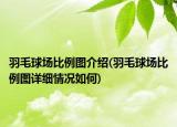 羽毛球場比例圖介紹(羽毛球場比例圖詳細情況如何)