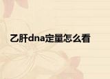 乙肝dna定量怎么看<1.00+02是什么問(wèn)題