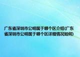 廣東省深圳市公明屬于哪個(gè)區(qū)介紹(廣東省深圳市公明屬于哪個(gè)區(qū)詳細(xì)情況如何)