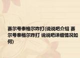 賽爾號泰格爾咋打(說說吧介紹 賽爾號泰格爾咋打 說說吧詳細(xì)情況如何)