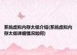 系統(tǒng)虛擬內(nèi)存太低介紹(系統(tǒng)虛擬內(nèi)存太低詳細(xì)情況如何)