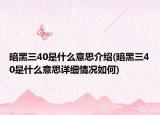 暗黑三40是什么意思介紹(暗黑三40是什么意思詳細情況如何)