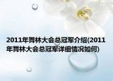 2011年舞林大會(huì)總冠軍介紹(2011年舞林大會(huì)總冠軍詳細(xì)情況如何)