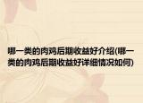 哪一類的肉雞后期收益好介紹(哪一類的肉雞后期收益好詳細情況如何)