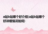 a站b站哪個好介紹(a站b站哪個好詳細情況如何)