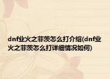 dnf業(yè)火之菲茨怎么打介紹(dnf業(yè)火之菲茨怎么打詳細情況如何)
