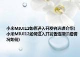 小米MIUI12如何進入開發(fā)者選項介紹(小米MIUI12如何進入開發(fā)者選項詳細情況如何)