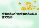 嗨狗啥意思介紹(嗨狗啥意思詳細情況如何)