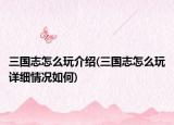三國志怎么玩介紹(三國志怎么玩詳細(xì)情況如何)