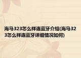海馬323怎么樣連藍牙介紹(海馬323怎么樣連藍牙詳細情況如何)