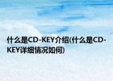 什么是CD-KEY介紹(什么是CD-KEY詳細情況如何)