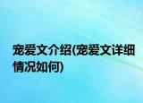 寵愛(ài)文介紹(寵愛(ài)文詳細(xì)情況如何)