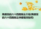 隋唐里的六十四路煙塵介紹(隋唐里的六十四路煙塵詳細(xì)情況如何)