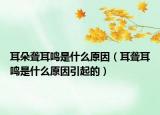 耳朵聾耳鳴是什么原因（耳聾耳鳴是什么原因引起的）