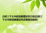 白發(fā)三千丈中的流星鏢沒死介紹(白發(fā)三千丈中的流星鏢沒死詳細(xì)情況如何)